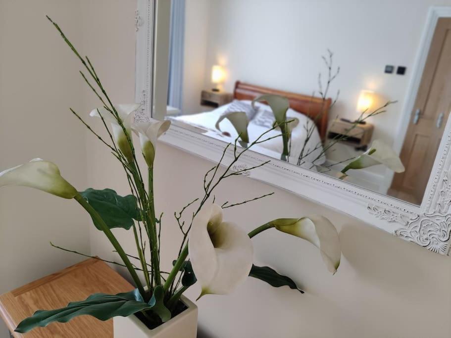 Escape To The Coast In A Luxurious Private Apartment Херн Бей Екстериор снимка